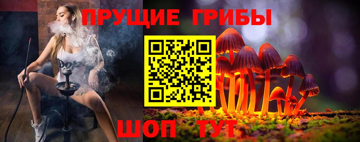Аша  Галлюциногенные грибы Cubensis  Вход с VPN 